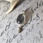 Preview: Hirschkopf-Anhänger aus 925 Silber mit grauem indischem Mondstein auf grauer Pappe mit jagdlichem Bleistifttext